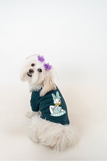Buddy Store Cat and Dog Outfit Clothes - Duffy & Queen Duo Pack Indigo Blue & Petrol Green Pack