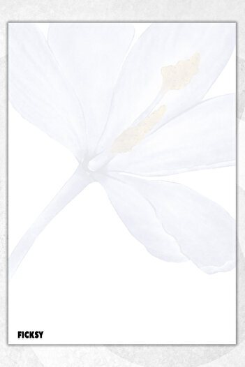Ficksy Flower Note Paper - A5 Size - 50 Sheets - Notepad - Memopad - Memo Pad - to Do List - Notebook