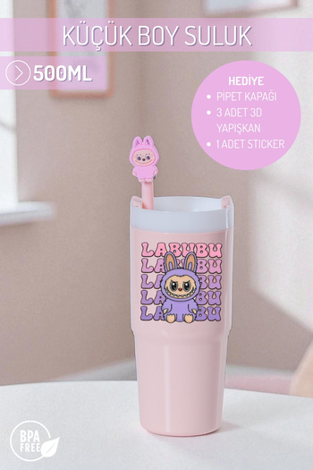 Nandy Home Labubulu Themed Small Size Colorful Water Bottle, 500ml. – Pipette Cover, 3D Adhesive and Label Gift