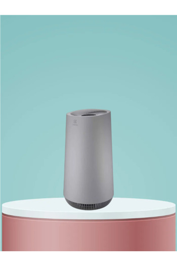 Electrolux Air Purifier FA41-402GY Silver