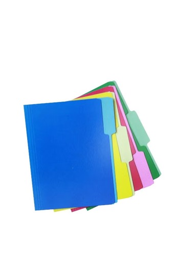 Roco Manila File Folder A4 Assorted Colors