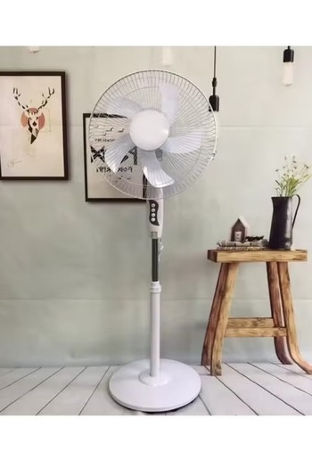 Denx Pedestal fan with oscillating function