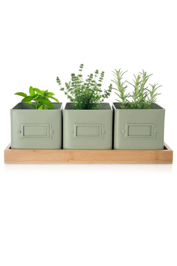 shumee Herb Pot Cover with Holder GREEN 4 pcs.