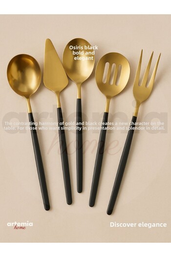 DMR LİFE 5 Piece Titanium Matte Gold Black Sauce Serving Set (Small Size)