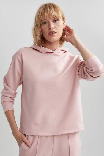 DeFacto Defactofit Standard Fit Hooded Skuba Diver Fabric Sportsman Basic Plain Sweatshirt A5626Ax23Au