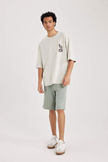 DeFacto Regular Fit Straight Leg Shorts B3235Ax23Hs