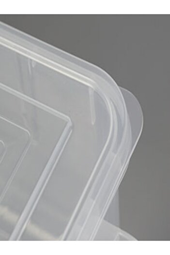 SKY TOUCH SKY-TOUCH 3 pack Fridge Organizers and Storage, Fridge Storage Box, Fridge Food Containers with Lids