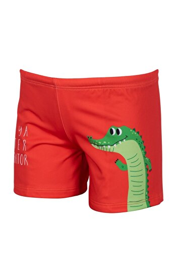 Kom Alligator Sorting