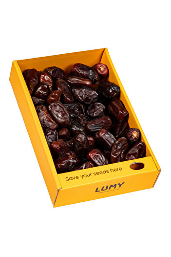 Lumy Dates Lumy Premium Saudi Dates - Khidri 800g