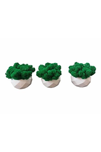 OEM Aranjament floral cu mușchi stabilizat premium, set de 3 piese, H10 cm, alb