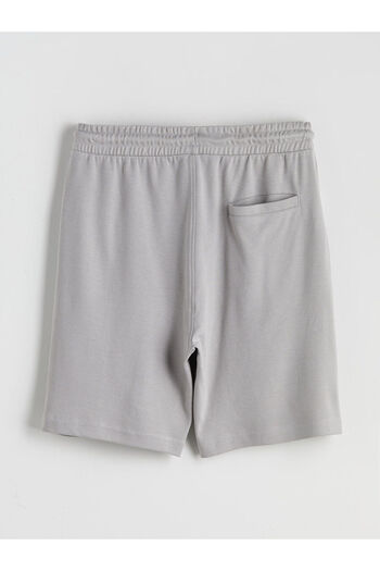 LC Waikiki Standard Fit Men's Shorts
