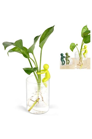 Generic Leaf Friends, 3 Pcs Plant Propagation Buddy, Support for Stems, Shoots, Sprouts and Cuttings, Indoo