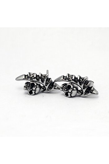 Viking Wing Skull Dangle 316L Stainless&Tarnish Steel Earrings