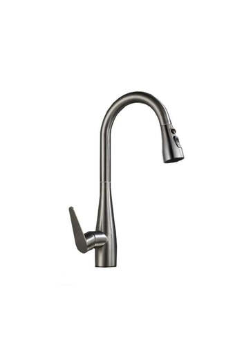 Alessandro DESIGN Kitchen Faucet with Pull-Out Shower Stainless Steel Silver ZY 1009