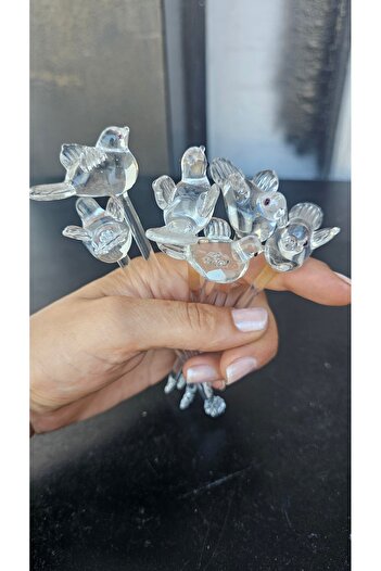 Keopsantique home Kuşluk 6 Glass Spoons