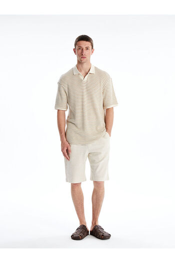 LC Waikiki Polo Neck Striped Men's T-Shirt