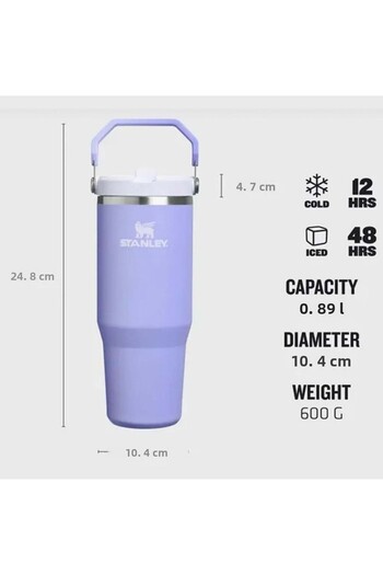 Stanley The Iceflow Flip Straw Thermos Cup with Straw 0.89 Lt Flask Gray