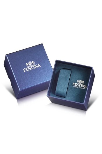 FESTİNA F20466/2 Titanium Men's Watch