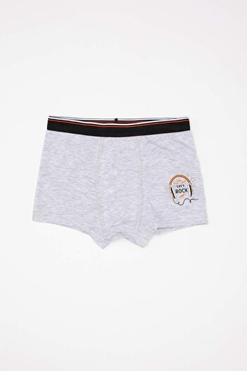DeFacto Boy's Patterned 3-Piece Boxers C7754A824Sm