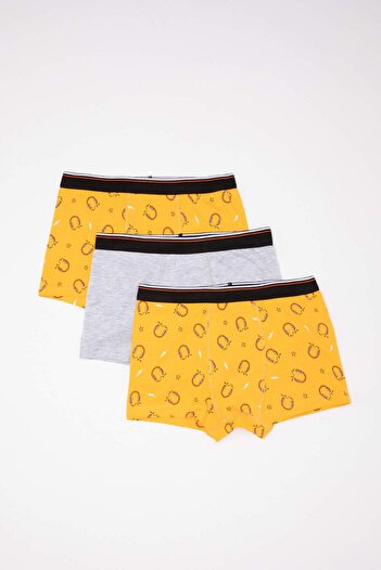 DeFacto Boy's Patterned 3-Piece Boxers C7754A824Sm