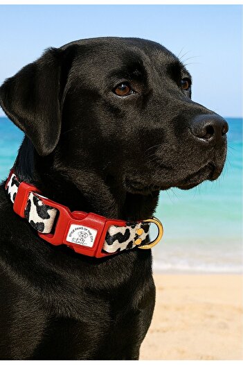 TheTailor Anti-Escape Collar Leo Mix Pla Dog Collar with Clip