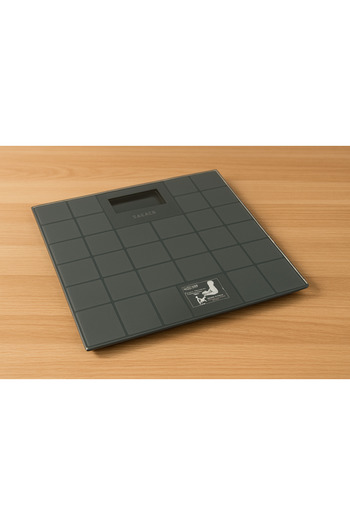 CAMRY electronic body scale