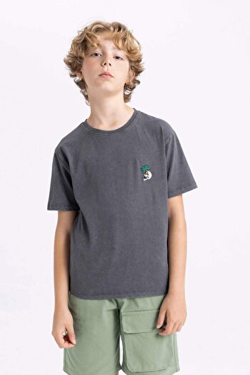 DeFacto Boy's Crew Neck Washable Pale Effect Short Sleeve T-Shirt C1918A824SM