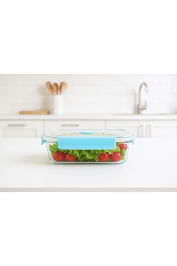 Noah 650 ml Glass Storage Container(17 cm X 12 cm) - Borosilicate Heat Resistant - with Plastic Leak Proof Lid