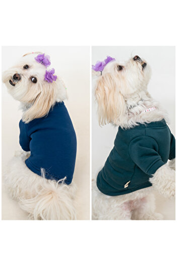 Buddy Store Cat and Dog Outfit Clothes - Unprinted Petrol Green and Indigo Blue Crew Neck Pack of 2