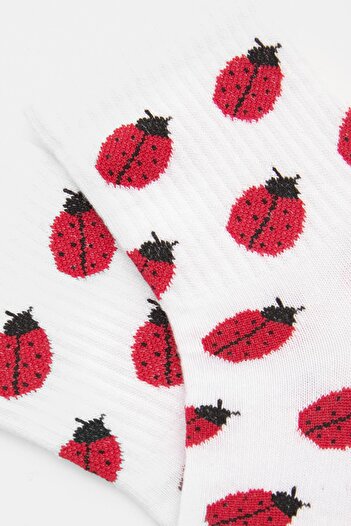 Pull & Bear Ladybird print socks
