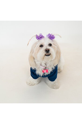 Buddy Store Cat and Dog Outfit Clothes - Duffy & Queen Duo Pack Indigo Blue & Petrol Green Pack