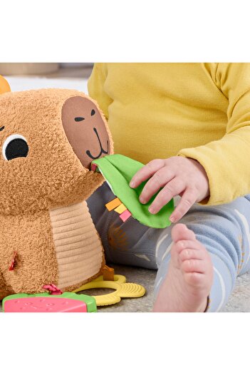 mattel Fisher Price Capybara Αισθητηριακό Παιχνίδι