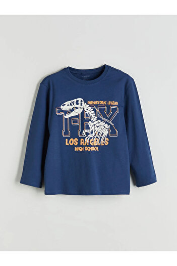 LC Waikiki Lcw kids blue Printed boy's sweatshirt and tracksuit bottom 2-piece set