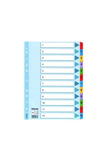 Rtc Esselte Mylar dividers, laminated index 1-12