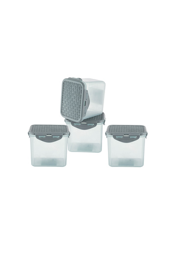 Dania 4-Piece Plastic Food Storage Container Set with Plastic Lid