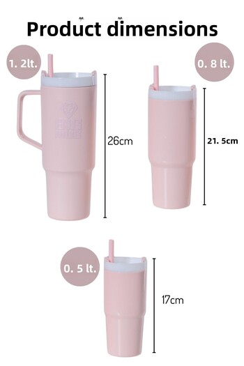 NY HOME 3 Size Water Bottle Set with Straw Pink