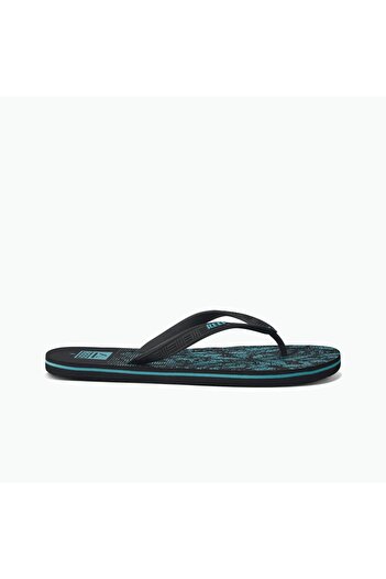 Reef Seaside Prints - Aquifier Palm