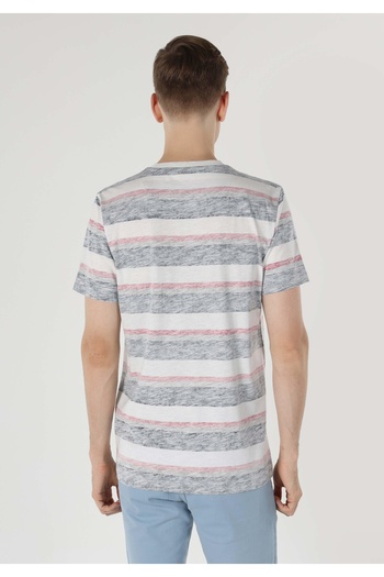 Colin's White Striped Regular Fit Crew Neck Men's Short Sleeve T-Shirt