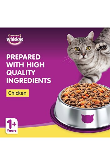 Whiskas Chicken Dry Cat Food for Adult Cats 1+ Years 480 g High Protein, Complete & Balanced Nutrition