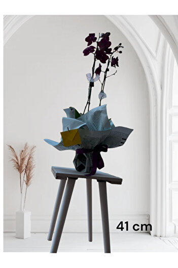 Ema orman 41 cm White Table, Chair, Wooden Conical Leg