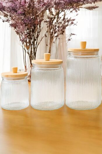 Sezka Life 3 Size Bamboo Lid Vacuum Striped Glass Jar Spice Set (500-750-1000 ml)