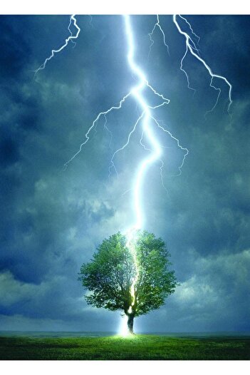 Eurographics 1000 Piece Puzzle: Lightning Striking Tree