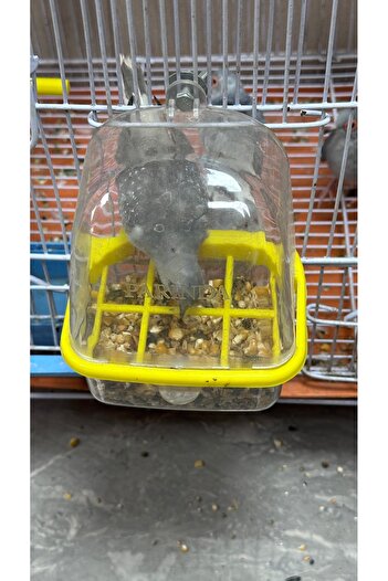 NO18 Birds Feeder, External Feeder for Cage, Doves Feeder, Love birds
