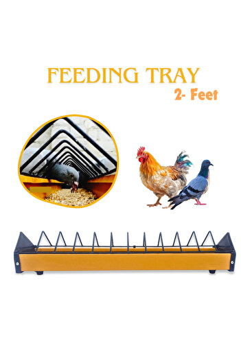NO18 Birds Feeding Tray
