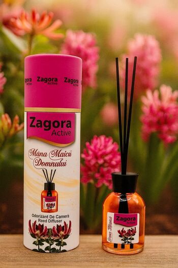 ZAGORA ACTIVE Cylinder Room Air Freshener 100ml Hand of Our Lady