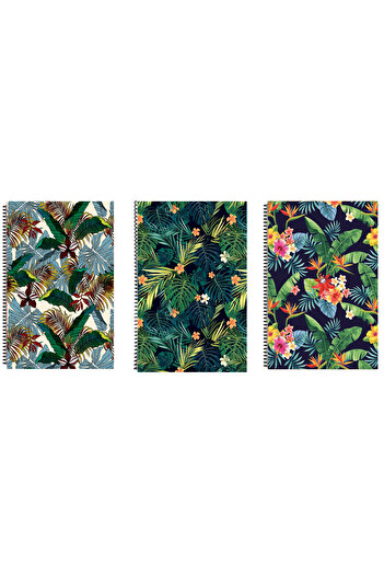 FLY COLOR A4 P.P Cover 120 Sheets Lined Patterned Ring Binder Notebook Set