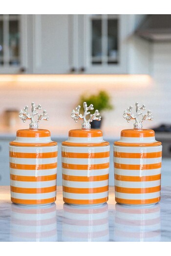 ferayhome Spice Rack Cylinder Ceramic Lid Coffee Corner Set Soft Yellow Classic Zebra Silver