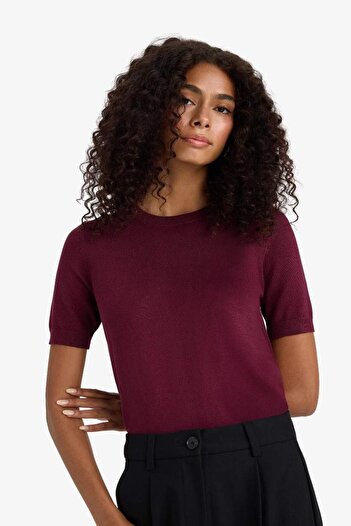 DeFacto Regular Fit Bisiklet Yaka Kısa Kollu Triko Kazak D6272AX25AU