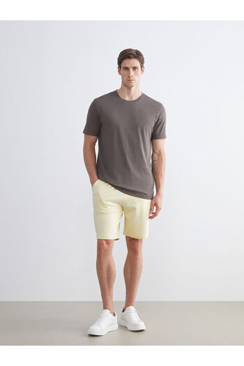 LC Waikiki Sari Standard Mold Men's Shorts