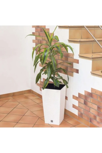 Prosperplast Square flower pot, RATO square, 32.5 x 32.5 cm, H 61 cm, rattan imitation, white